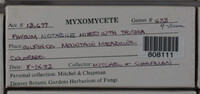 Image Associated With the Occurence